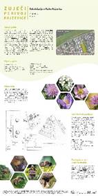 A close-up of a brochure

Description automatically generated