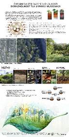 A collage of photos of a landscape

Description automatically generated